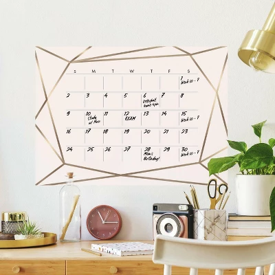 Blush Beauty Dry Erase Calendar Peel And Stick Giant Wall Decal Pink/Gold - RoomMates 1 Blush Beauty Dry Erase Calendar Peel And Stick Giant Wall Decal Pink/Gold - RoomMates