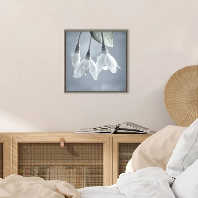 16" X 16" Japanese Snowbell Tree Blossoms By Jaynes Gallery Danita Delimont Framed Canvas Wall Art - Amanti Art 4 16" X 16" Japanese Snowbell Tree Blossoms By Jaynes Gallery Danita Delimont Framed Canvas Wall Art - Amanti Art - Image 4