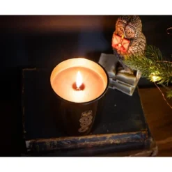 Ukonic Harry Potter Dark Arts Premium Scented Soy Wax Candle -Home Decor Series Store GUEST 411ab146 4983 4d63 abbb 98ce34b06345