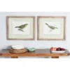 Wood Bird Framed Wall Art With Brown Frame Set Of 2 Brown - Olivia & May
