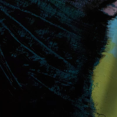 Americanflat Black Cat Butterfly By Michael Creese Wall Tapestry 2 Americanflat Black Cat Butterfly By Michael Creese Wall Tapestry - Image 2