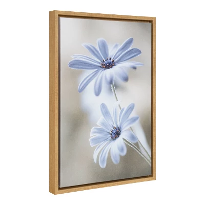 16" X 23" Cape Daisies Framed Canvas Wall Art - Amanti Art 1 16" X 23" Cape Daisies Framed Canvas Wall Art - Amanti Art