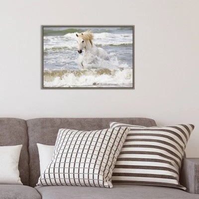 23" X 16" Camargue Horse In The Surf By Ellen Goff Danita Delimont Framed Canvas Wall Art - Amanti Art 7 23" X 16" Camargue Horse In The Surf By Ellen Goff Danita Delimont Framed Canvas Wall Art - Amanti Art - Image 7