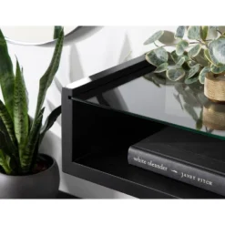 18" X 6" Holt Wood/Glass Decorative Wall Shelf Black - Kate & Laurel All Things Decor -Home Decor Series Store GUEST 904742bc d771 496e b627 780356eef852