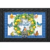Briarwood Lane Lemon Wreath Spring Doormat Welcome Bluebird Plaid Indoor Outdoor 30" X 18"
