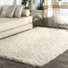 NuLOOM Nida Plush Shaggy Area Rug