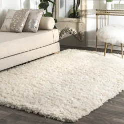 NuLOOM Nida Plush Shaggy Area Rug