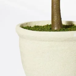 Ficus Tree - Threshold™ Designed With Studio McGee 5 Ficus Tree - Threshold™ Designed With Studio McGee -Home Decor Series Store GUEST b527c49c 40e7 4f4d 8026 e60817b7e327