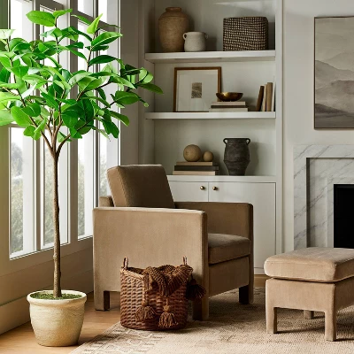 Ficus Tree - Threshold™ Designed With Studio McGee 1 Ficus Tree - Threshold™ Designed With Studio McGee