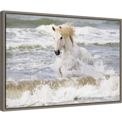 23" X 16" Camargue Horse In The Surf By Ellen Goff Danita Delimont Framed Canvas Wall Art - Amanti Art 1 23" X 16" Camargue Horse In The Surf By Ellen Goff Danita Delimont Framed Canvas Wall Art - Amanti Art