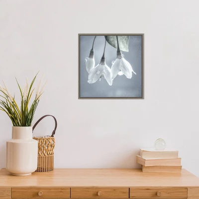 16" X 16" Japanese Snowbell Tree Blossoms By Jaynes Gallery Danita Delimont Framed Canvas Wall Art - Amanti Art 3 16" X 16" Japanese Snowbell Tree Blossoms By Jaynes Gallery Danita Delimont Framed Canvas Wall Art - Amanti Art - Image 3