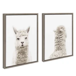 2pc Sylvie Alpaca Front And Back Framed Canvas Wall Art By Amy Peterson Gray - Kate And Laurel