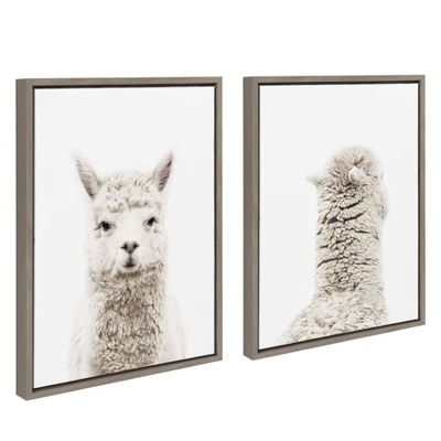 2pc Sylvie Alpaca Front And Back Framed Canvas Wall Art By Amy Peterson Gray - Kate And Laurel 1 2pc Sylvie Alpaca Front And Back Framed Canvas Wall Art By Amy Peterson Gray - Kate And Laurel