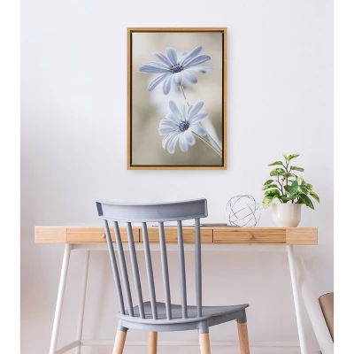 16" X 23" Cape Daisies Framed Canvas Wall Art - Amanti Art 3 16" X 23" Cape Daisies Framed Canvas Wall Art - Amanti Art - Image 3