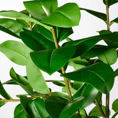 Ficus Tree - Threshold™ Designed With Studio McGee 2 Ficus Tree - Threshold™ Designed With Studio McGee - Image 2